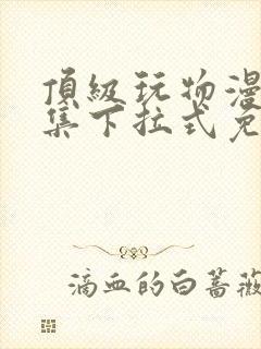 顶级玩物漫画全集下拉式免费观看