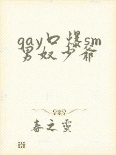 gay口爆sm男奴少爷