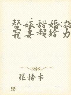 替嫁甜婚:总裁宠妻超给力