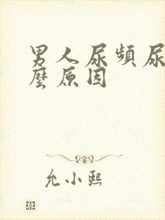 男人尿频尿是什么原因