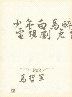 少年白马醉春风 电视剧 免费观看