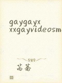 gaygayxxxgayvideosmovn封面