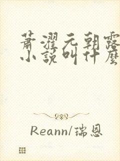 萧濯元朝露原著小说叫什么封面