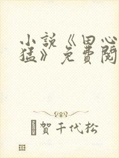 小说《田心与四猛》免费阅读