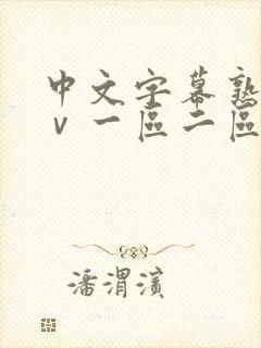 中文字幕熟女aⅴ一区二区