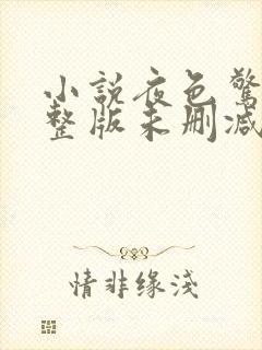 小说夜色惊人完整版未删减小说