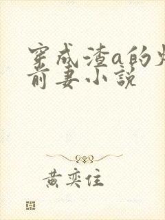 穿成渣a的炮灰前妻小说