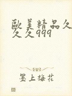 欧美精品久久久久久999