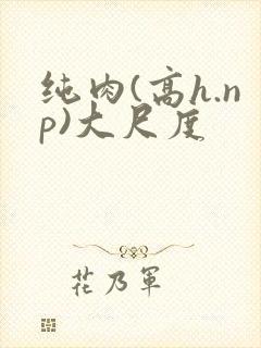 纯肉(高h.np)大尺度封面