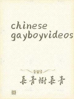 chinesegayboyvideos