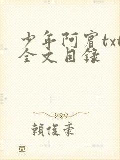 少年阿宾txt全文目录