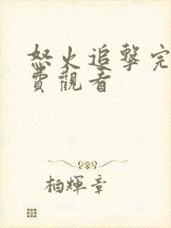 怒火追击完整免费观看