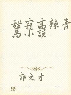 甜宠高辣青梅竹马小说