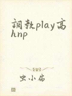 调教play高hnp