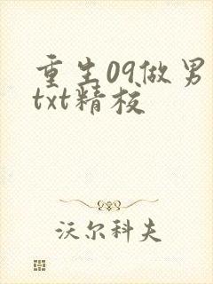 重生09做男神txt精校封面
