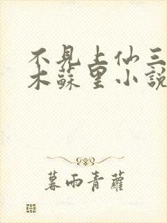 不见上仙三百年木苏里小说全文阅读封面