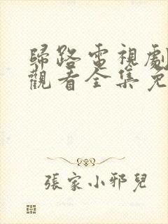 归路电视剧在线观看全集免费高清封面