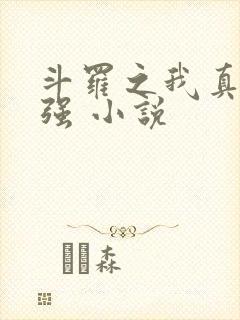 斗罗之我真的不强 小说封面