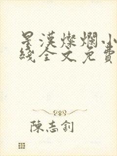 星汉灿烂小说在线全文免费阅读