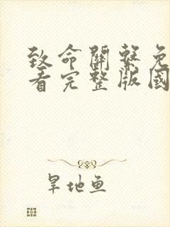 致命关系免费观看完整版国语高清