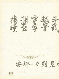 杨渊穿越斗罗重瞳至尊骨武魂