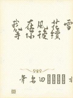 我在风花雪月里等你后续