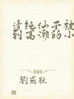 清纯仙子被玩弄到高潮的小说