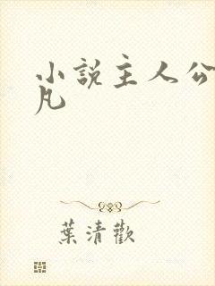 小说主人公叫林凡