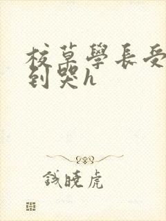 校草学长受被做到哭h