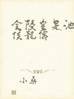 金陵岂是池中物侯龙俦封面