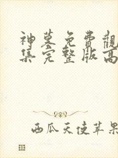 神墓免费观看全集完整版高清动漫