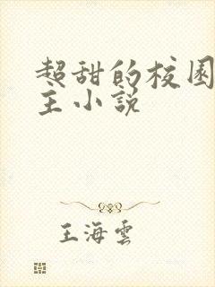 超甜的校园双男主小说封面