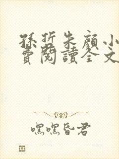 孙哲朱颜小说免费阅读全文最新章节