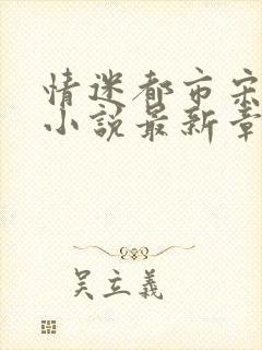 情迷都市宋可琴小说最新章节更新时封面