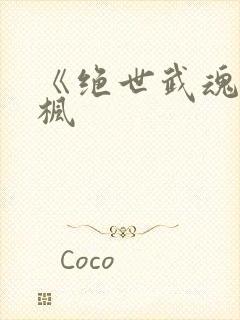 《绝世武魂》陈枫