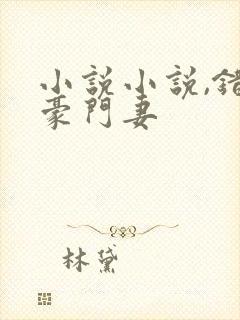 小说小说,错嫁豪门妻