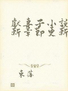 献妻子小说 最新章节更新封面