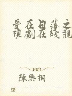 爱在日落之前电视剧在线观看