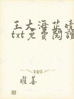 王大海芷晴小说txt免费阅读最新章节