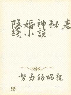 隐婚神秘老公在线小说