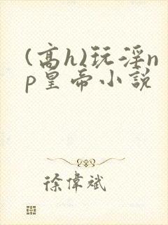(高h)玩淫np皇帝小说