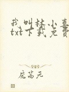 我叫林小喜小说txt下载免费