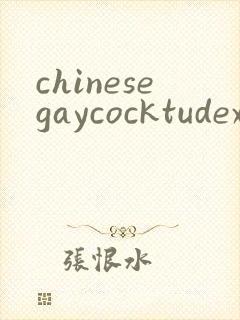 chinesegaycocktudexxx封面