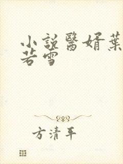 小说医婿叶凡唐若雪