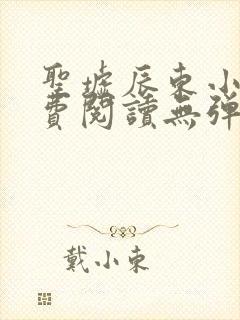 圣墟辰东小说免费阅读无弹窗封面