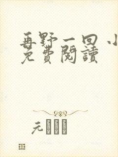 再野一回 小说免费阅读