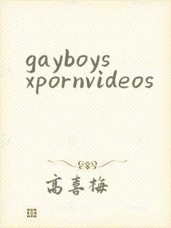 gayboysxpornvideos