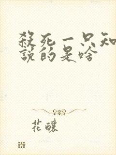 杀死一只知更鸟说的是啥