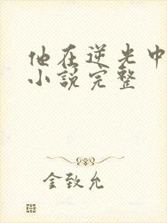 他在逆光中告白小说完整封面