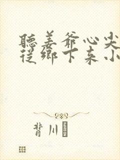 听姜爷心尖宠她从乡下来小说封面